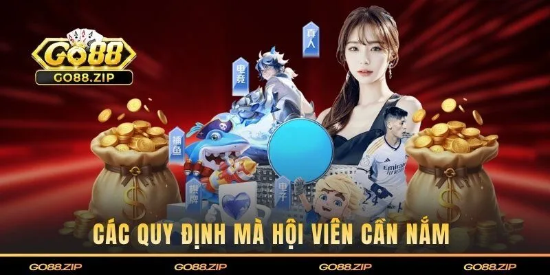 Các quy định mà hội viên cần nắm trong chính sách này 