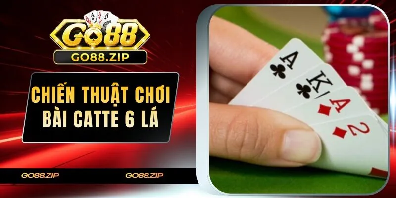 chiến thuật chơi bài Catte 6 lá